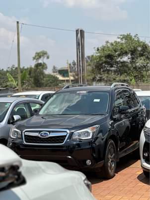 A picture of BEST DEALS OF THE WEEK