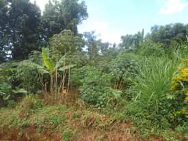 A picture of 90ft by 180ft for sale by owner in kisoga along