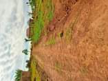 A picture of NKOWE ESTATE WAKISO TOWN 50BY100 WITH READY LAND TITLE AT