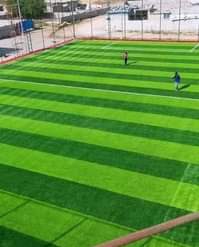 A picture of ARTIFICIAL GRASS CAPETS
