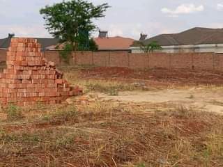 stands