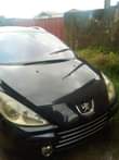 A picture of 2007 Peagout 307 2