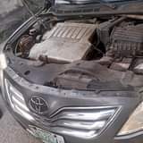 A picture of Camry spider