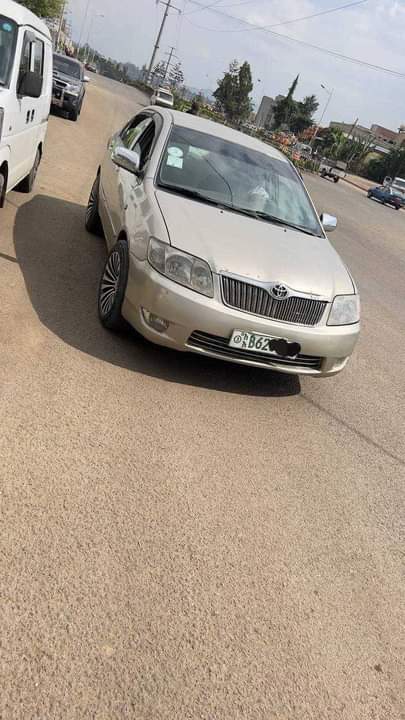 used toyota corolla