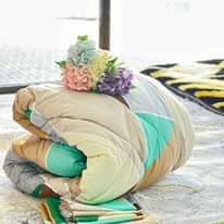 A picture of Duvet