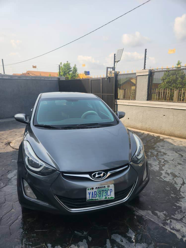 A picture of Hyundai elantra 2015
