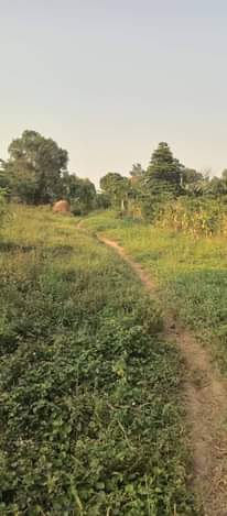 A picture of PLOTS FOR SALE Located on Matuga Bbale 3km from on
