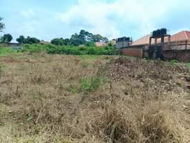 A picture of Hot deal Plot for sale located at seeta bajjo behind