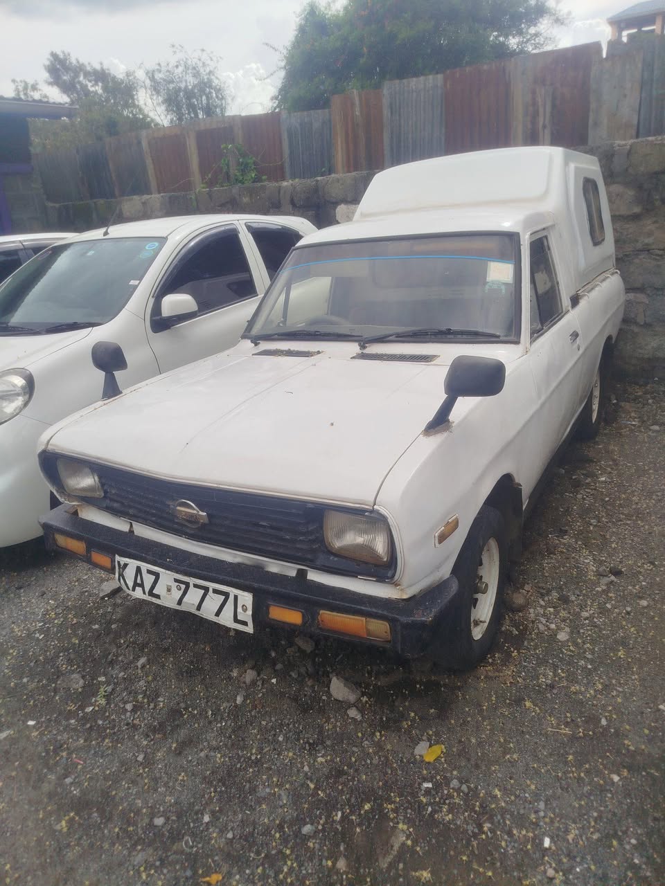 datsun