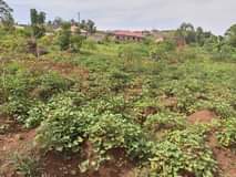 A picture of Plots on sale located at matugga gombe along matugga semuto