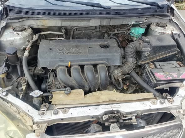 A picture of Toyota Corolla 2006