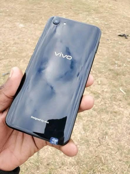 vivo