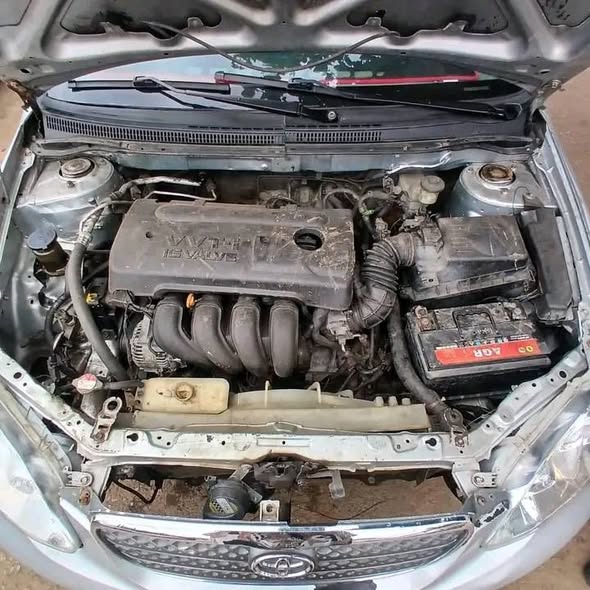 A picture of Toyota Corolla 2007