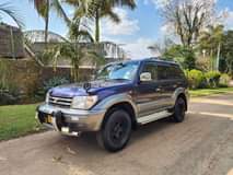 used toyota prado