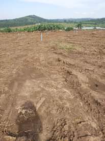A picture of Plots for sale