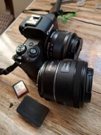 A picture of Canon EOS M50