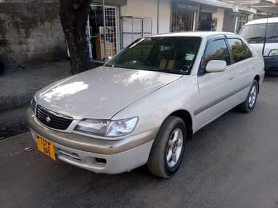 A picture of Premio old