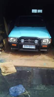 Thabo D.