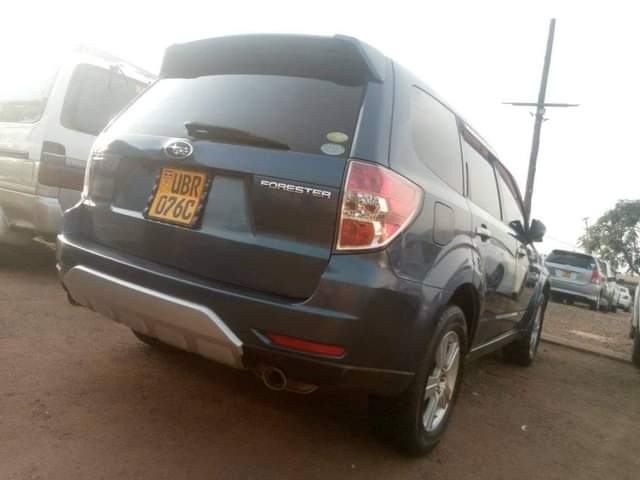 A picture of Subaru Forester