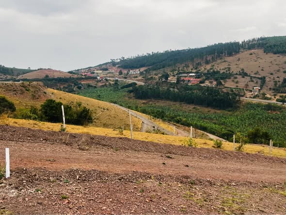 Tukamushaba D.