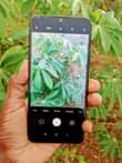 A picture of Redmin cc 9e imenyooka saan gb64 ram6 net4g 0697011773