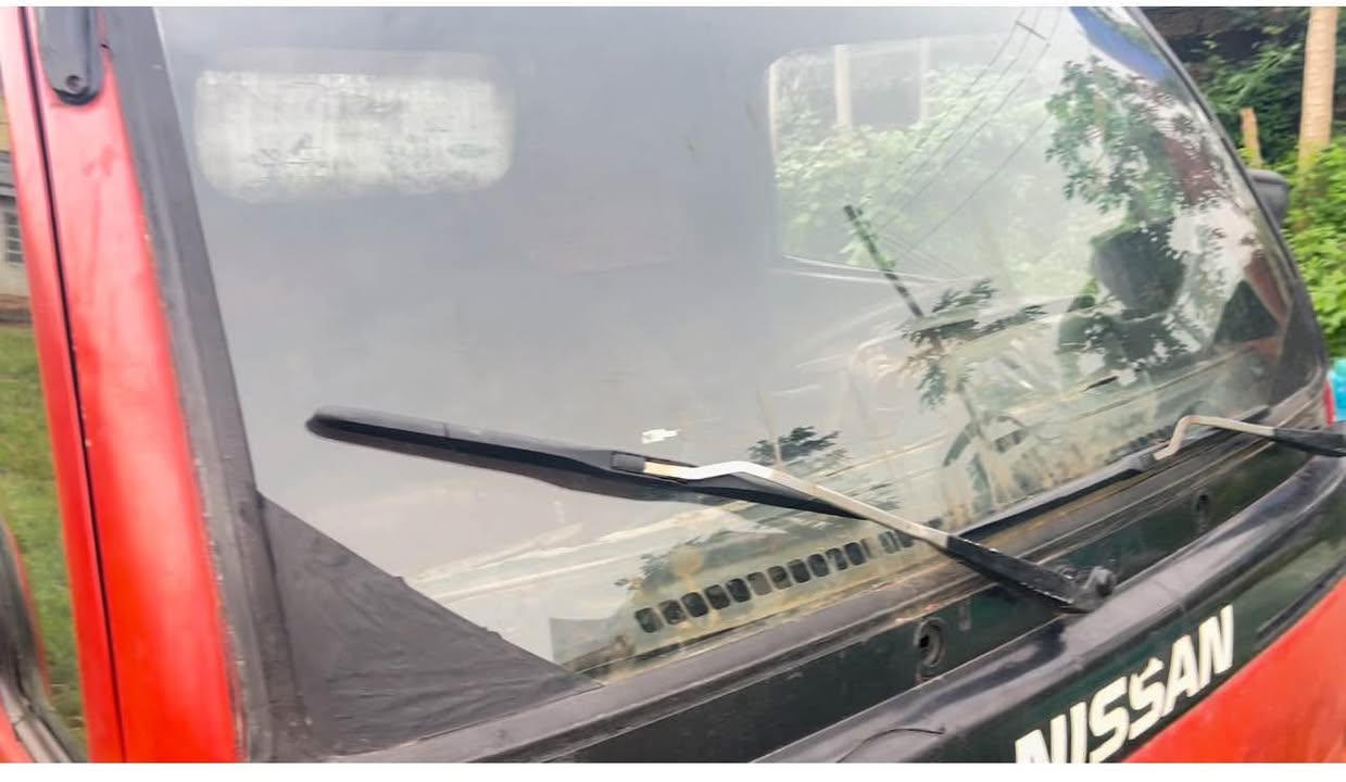 A picture of Nissan Cabster