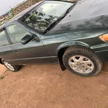 A picture of Camry Tiny07088153375