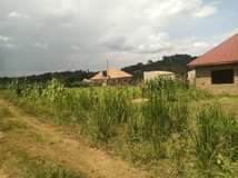 A picture of Get your own plot today New site opened located matugga