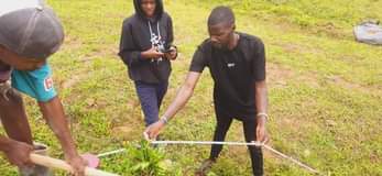 A picture of Plots for sell at wakiso mabombwe estate
