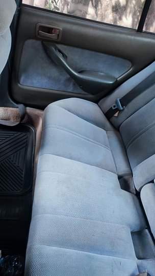 A picture of Camry orobo