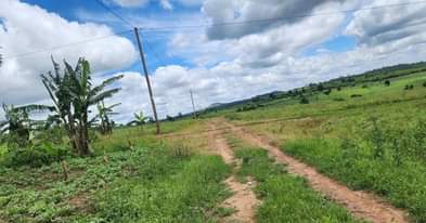 A picture of Cheap plots at kakiri town simbamanyo Estate
