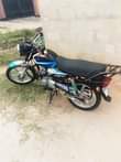 A picture of Tvs125