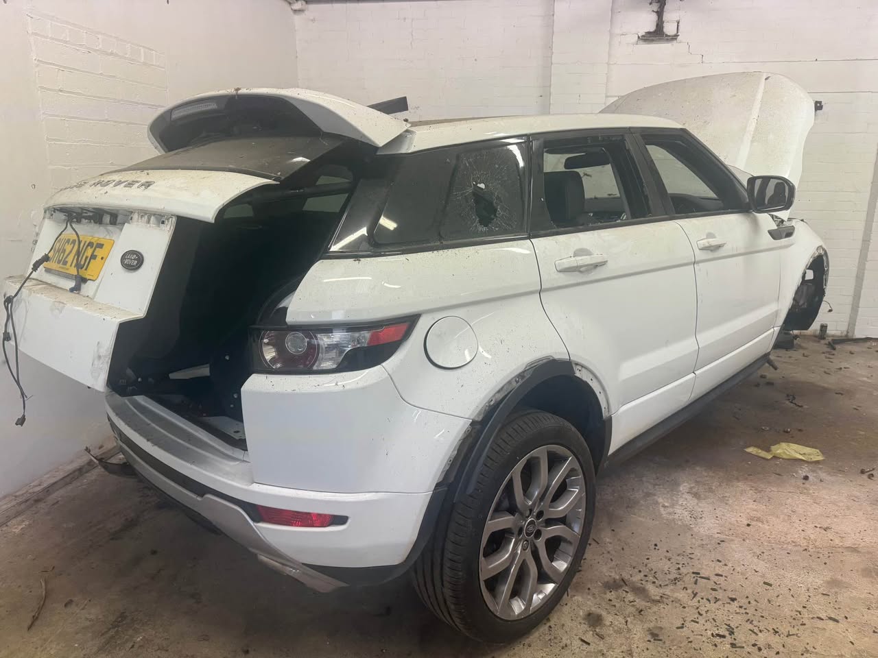 rover