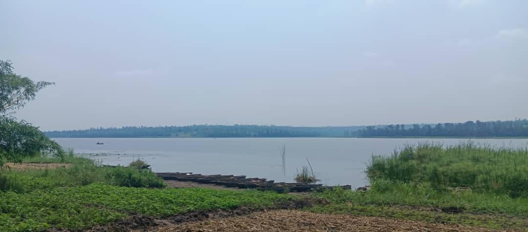 land