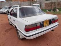 toyota corona