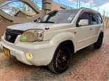 A picture of NISSAN. XTRAIL OPEN ROOF