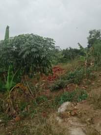 A picture of Plot 20x50 ft at 4millions for sale call 0705873033 in