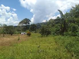 A picture of half acre for sale along mukono katosi road in kisoga