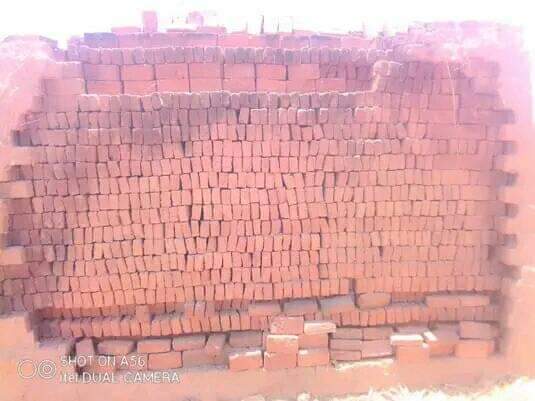 bricks