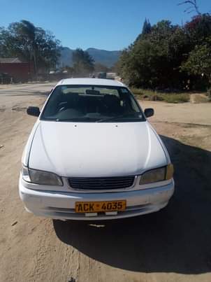 used toyota corolla