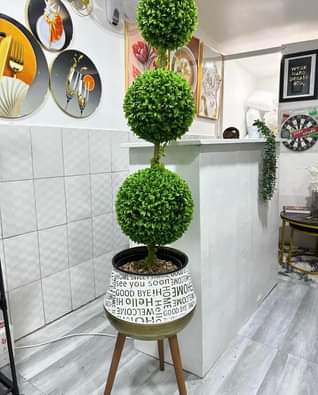 A picture of Artificial plants