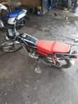A picture of piga 255762845702