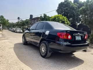 A picture of TOYOTA COROLLA 2005 TOKS STANDARD