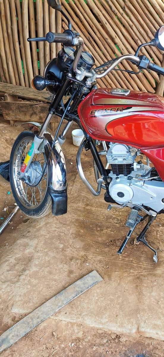 A picture of 2023 India bajaj boxer