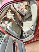 A picture of Belgium grade Camry big daddy