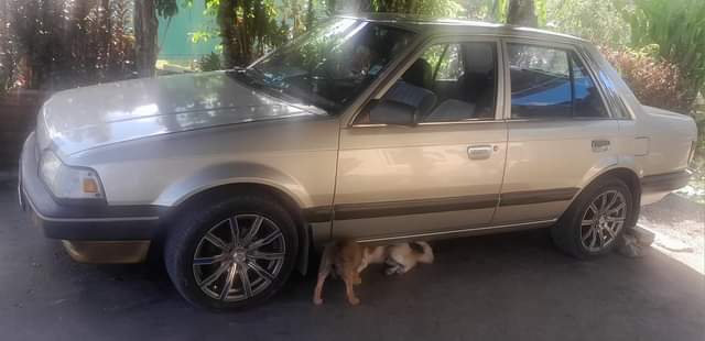 mazda 323