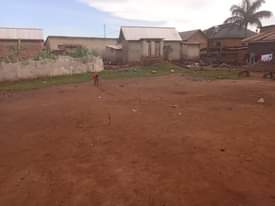 A picture of Land for sale in nalukolongo Kabakas land it s seated