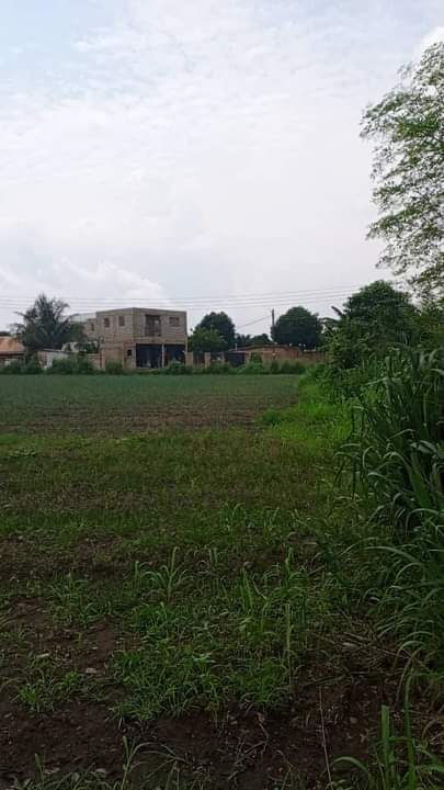 GHANA C.