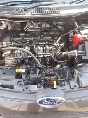 bakkies A.