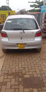 A picture of Vitz